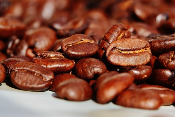 Als klant bij de koffie groothandel in Drenthe heeft u toegang tot de lekkerste koffie