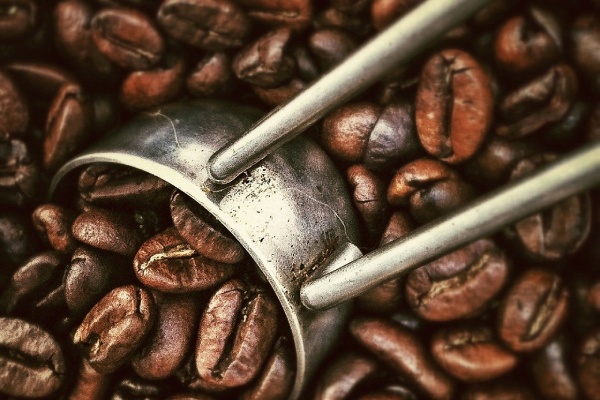 Onze koffieservice in Drenthe laat u genieten van een uitstekende kop koffie Onze koffieservice in Drenthe laat u genieten van een uitstekende kop koffie