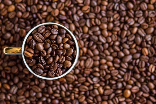 Koffie bestellen doet u uit het ruime assortiment van JOBO koffie.